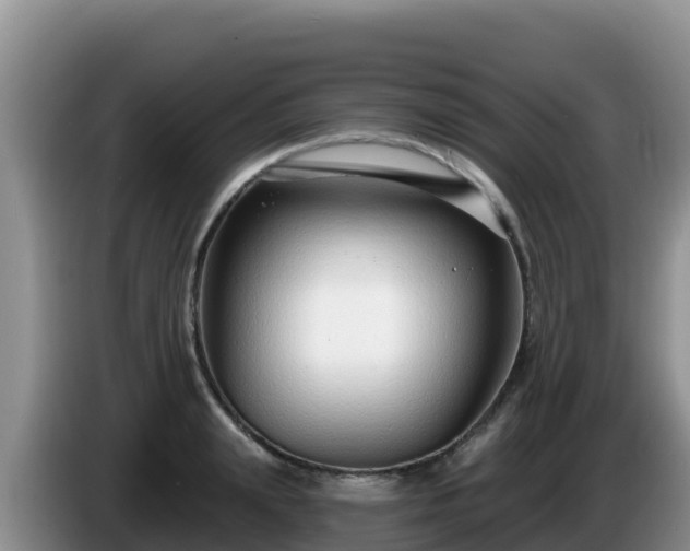 X0000086250847200704051239