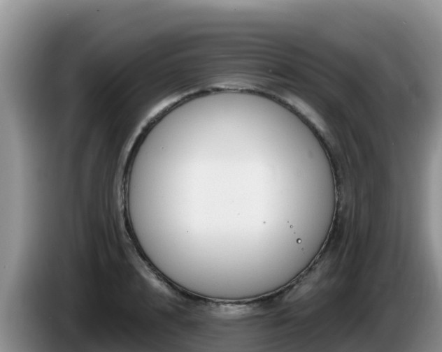 X0000086250848200704051239