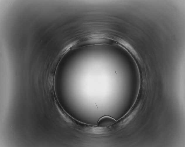 X0000086250849200704051239