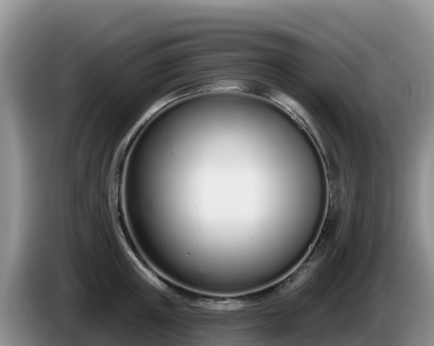 X0000086250851200704051239