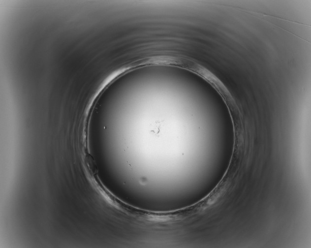 X0000086250852200704051239