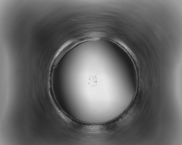 X0000086250853200704051239