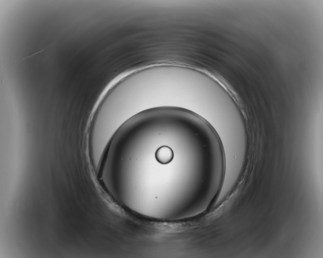 X0000086250854200704051239