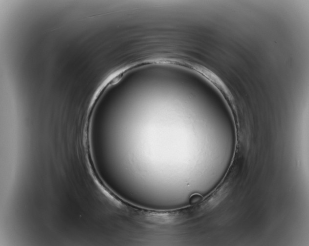 X0000086250855200704051239