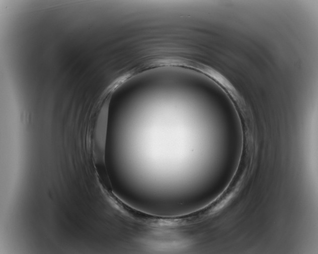 X0000086250857200704051239