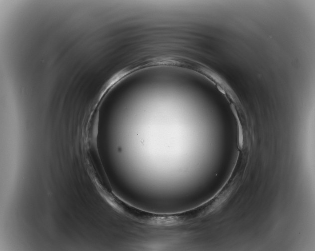 X0000086250858200704051239