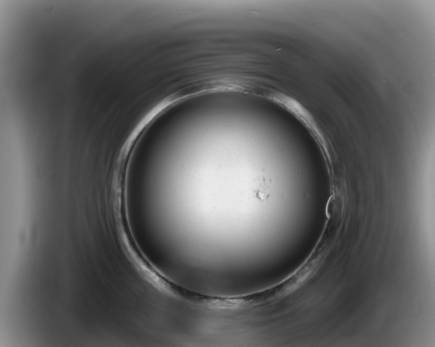 X0000086250859200704051239