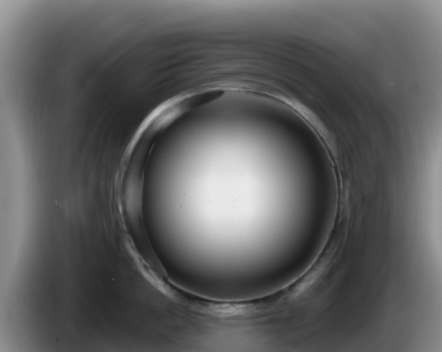 X0000086250862200704051239