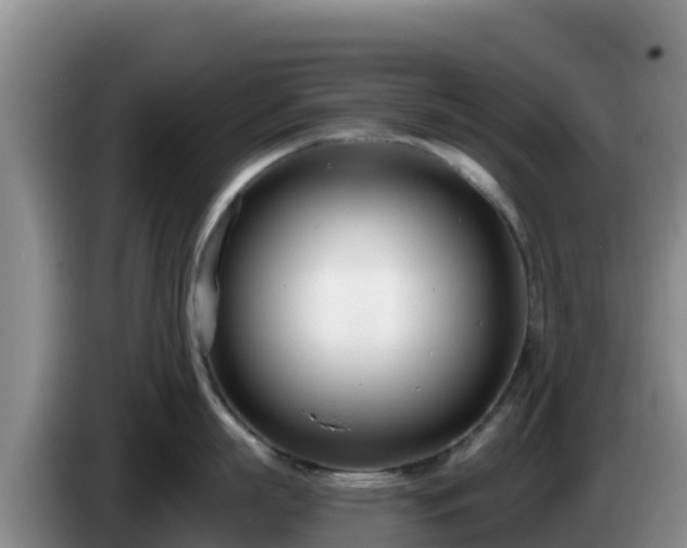 X0000086250863200704051239