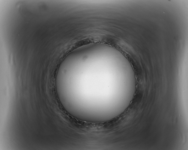 X0000086250865200704051238