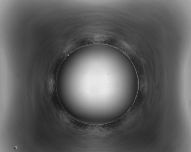 X0000086250866200704051238