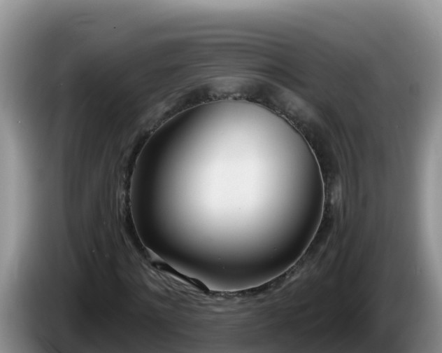 X0000086250868200704051238