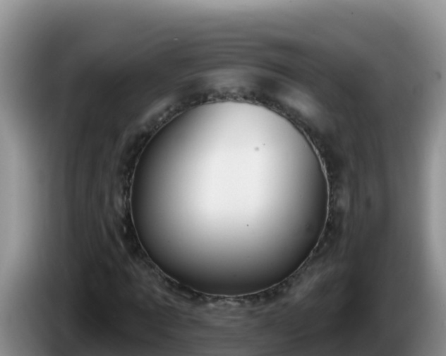 X0000086250869200704051238