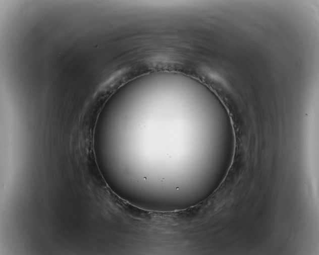X0000086250870200704051238