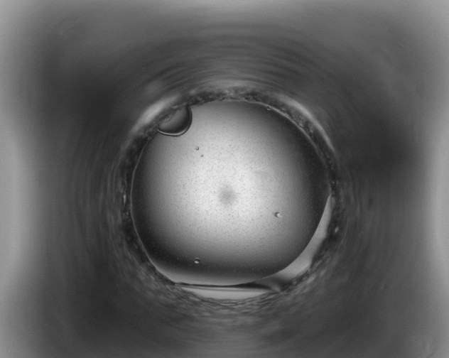 X0000086250871200704051238