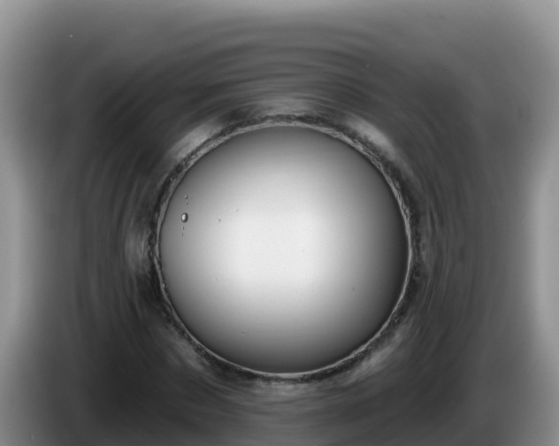 X0000086250873200704051238