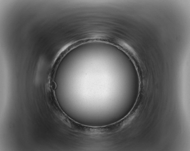 X0000086250875200704051238
