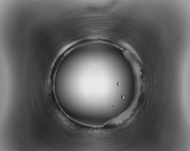 X0000086250876200704051238