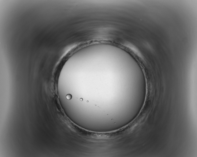 X0000086250878200704051238