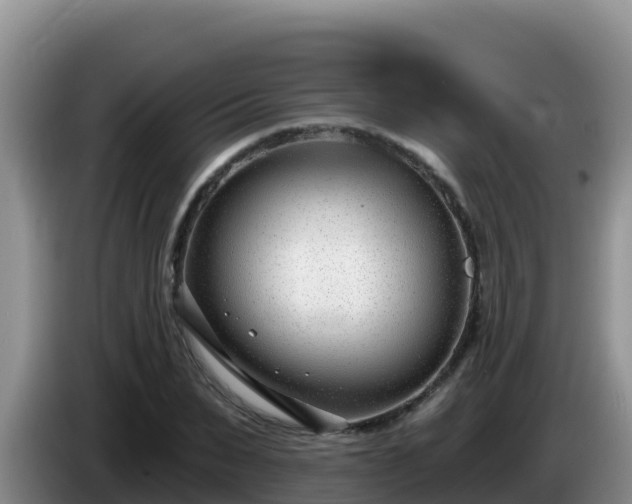 X0000086250879200704051238