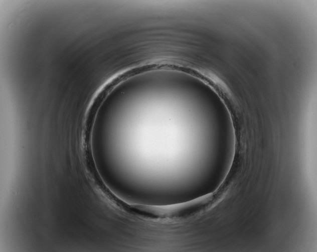 X0000086250880200704051238
