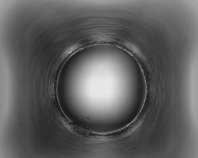 X0000086250881200704051238