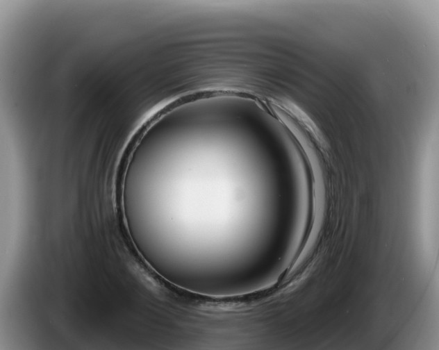 X0000086250884200704051238