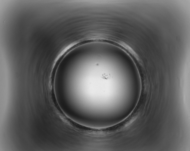 X0000086250885200704051238