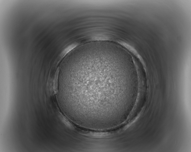 X0000086250889200704051238