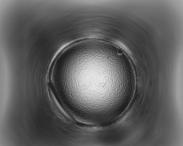 X0000086250891200704051238