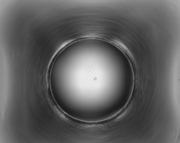 X0000086250892200704051238