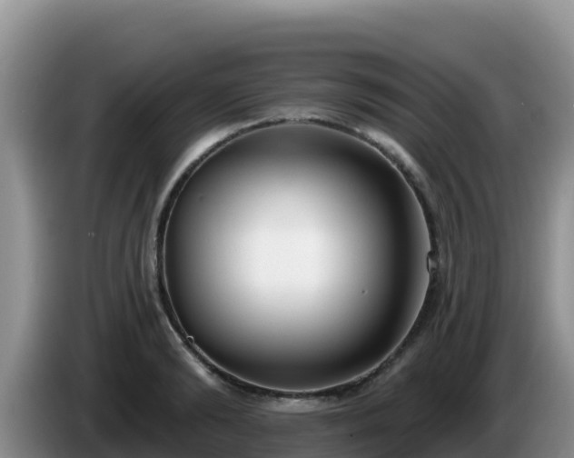 X0000086250894200704051238