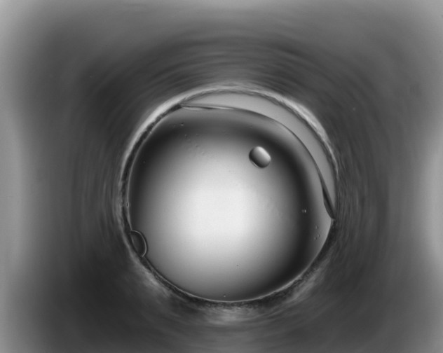 X0000086250895200704051238