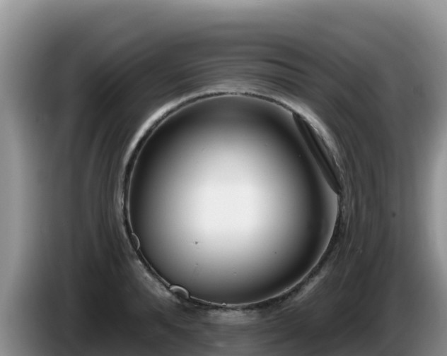 X0000086250896200704051238