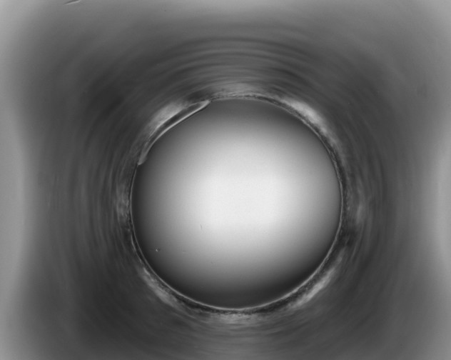 X0000086250897200704051238
