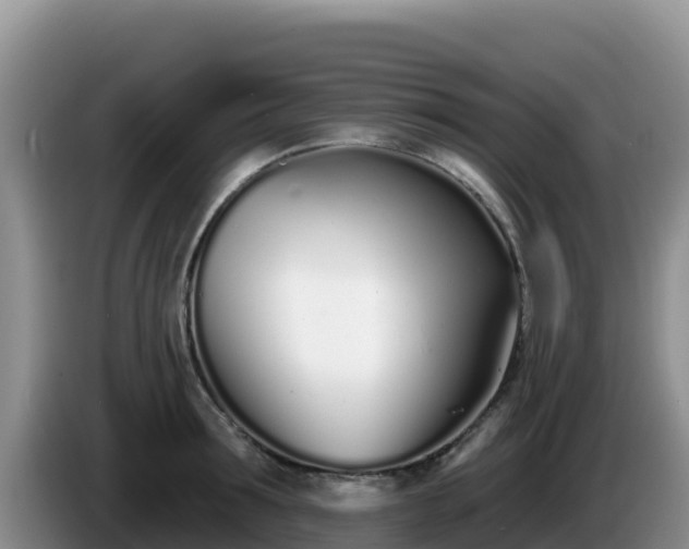 X0000086250899200704051238