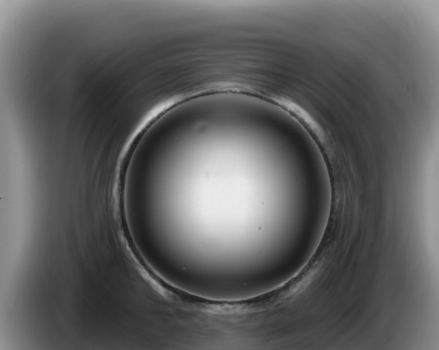 X0000086250902200704051238