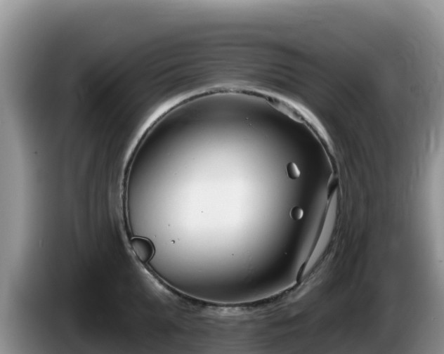 X0000086250903200704051238