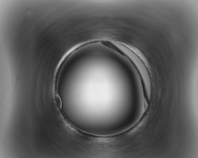 X0000086250904200704051238