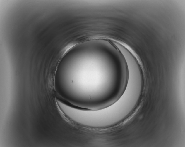X0000086250905200704051238