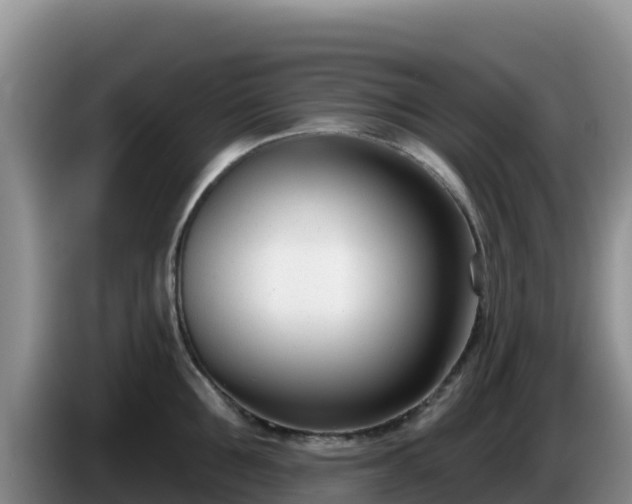 X0000086250907200704051238