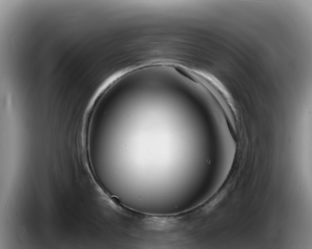 X0000086250910200704051238