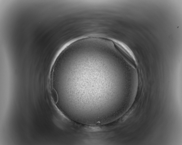 X0000086250911200704051238