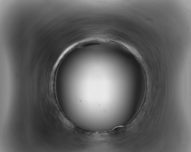 X0000086250912200704051238