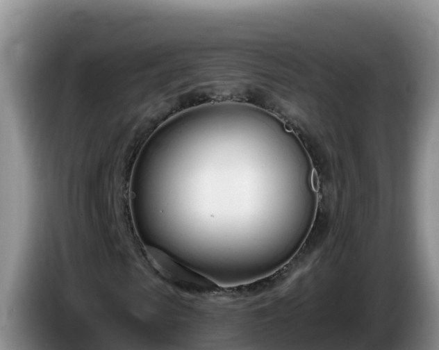 X0000086250913200704051237
