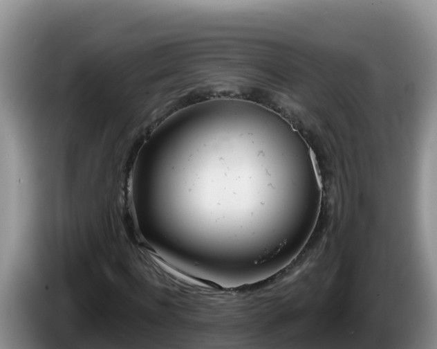 X0000086250916200704051237