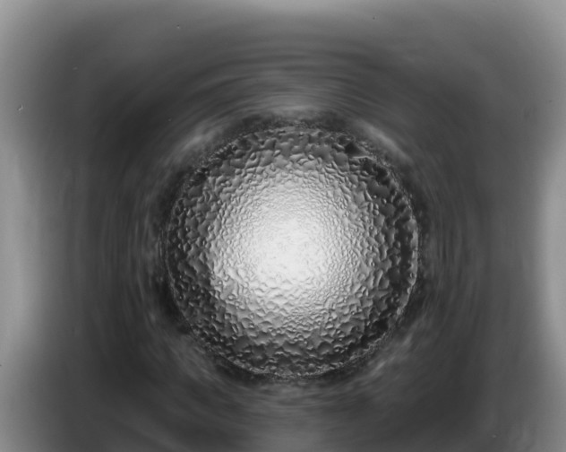 X0000086250917200704051237