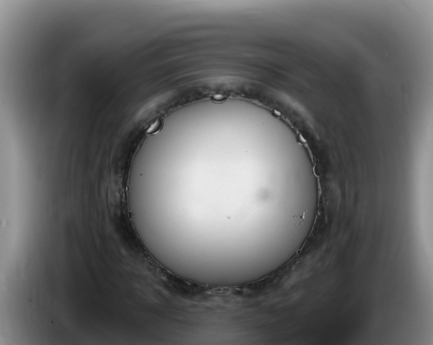 X0000086250918200704051237