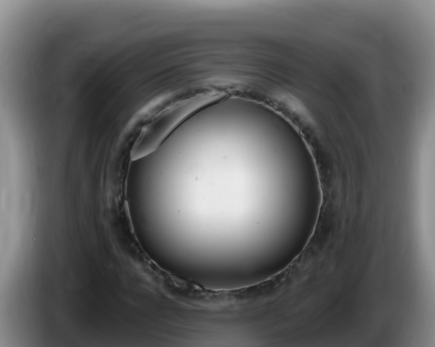 X0000086250920200704051237