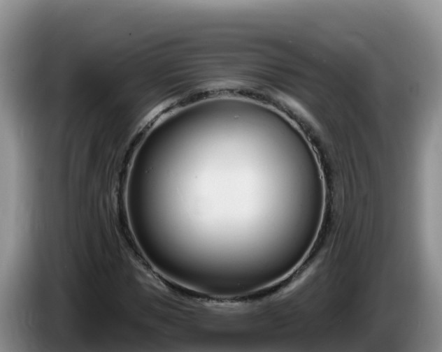 X0000086250921200704051237